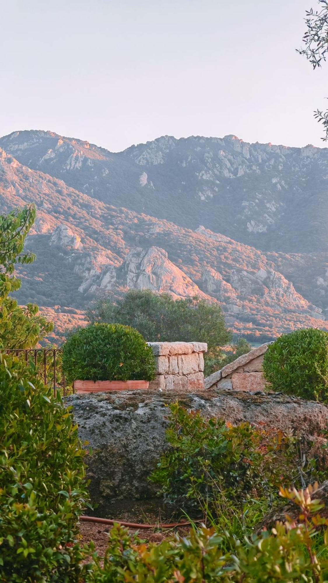 Le Hameau De Saparale Сартен Екстер'єр фото